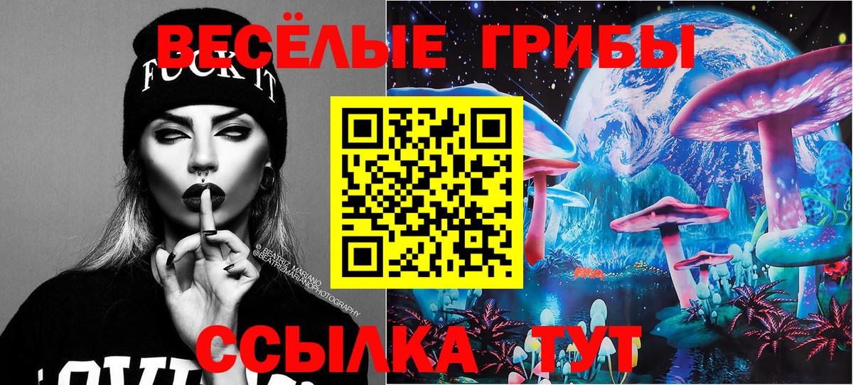 Псилоцибиновые грибы Psilocybine cubensis  Вход с VPN  Чебоксары 