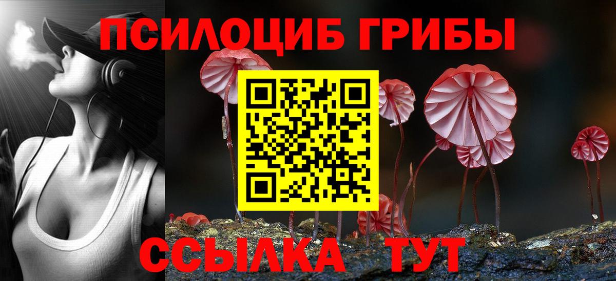 Галлюциногенные грибы Psilocybine cubensis Чебоксары
